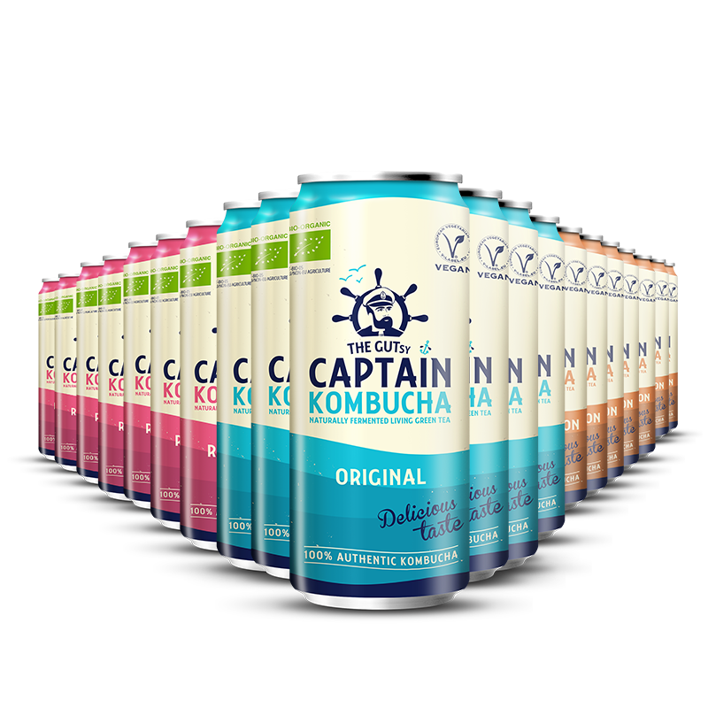 GUTsy Captain Kombucha - Multi-Smaak pak CANs 20 x 250ml